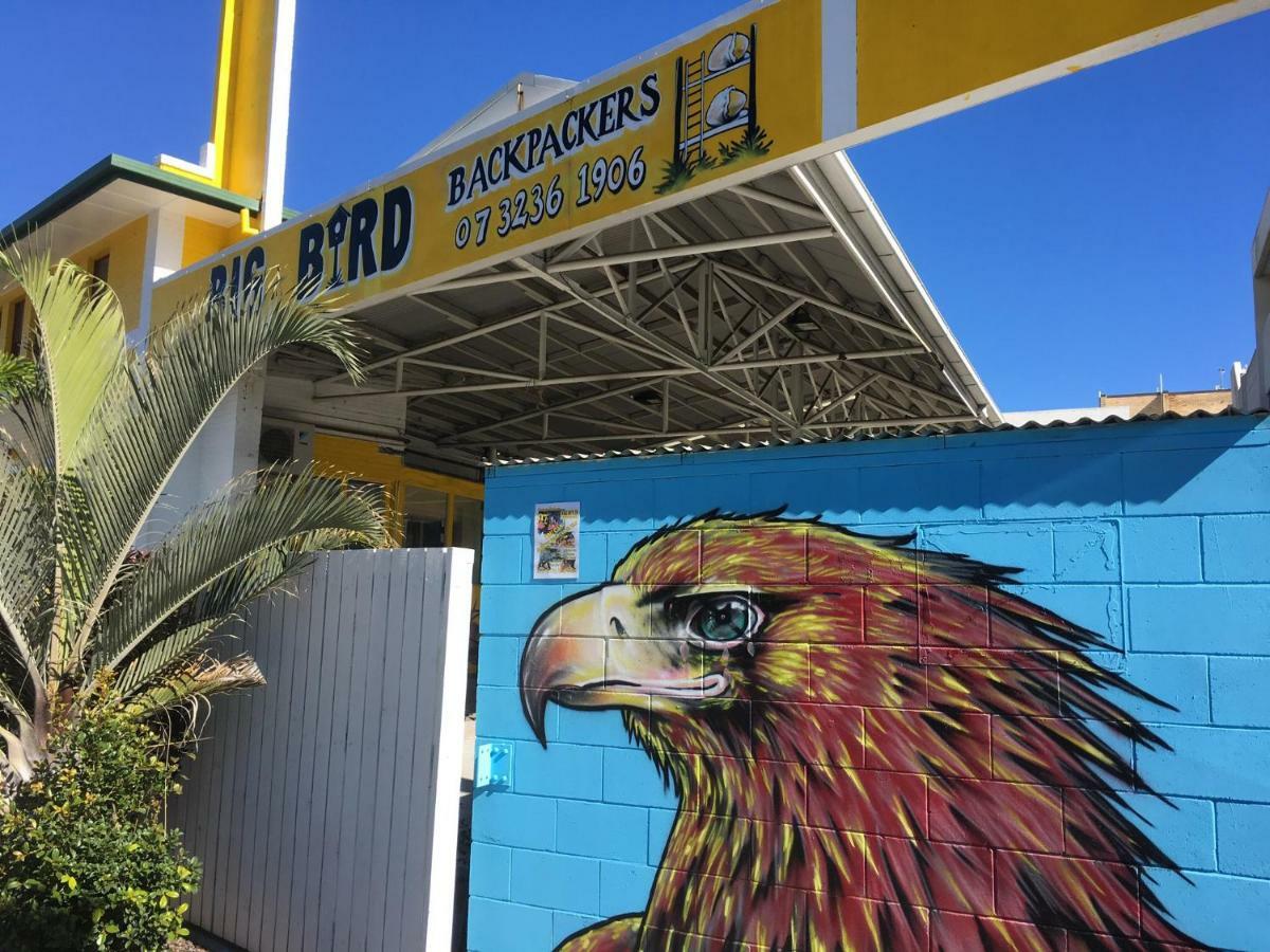 Хостел Big Bird Backpackers Брисбен Экстерьер фото